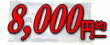 8,000�~�ȏ�