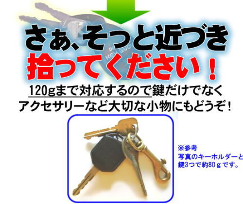 �����Ƌ߂Â��ďE���Ă��������B120g�܂őΉ�����̂ŁA���ȊO�ł����v�B