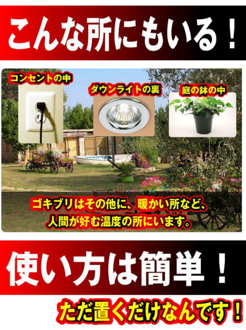 �S�L�u���͉Ƃ̒��ɂ��邾���ł͂���܂���B�R���Z���g�̒����Ȃǂɂ����܂��B�g�����͒u�������Ȃ̂Ŕ��ɊȒP�B