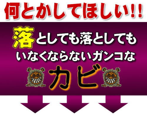 �J�r�����Ƃ��������I�I�I