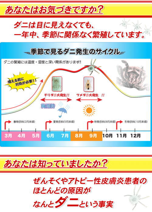 ダニは一年中季節に関係なく繁殖しています。喘息やアトピーの原因がダニということが多いんです。