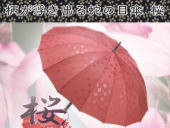 柄が浮き出る蛇の目傘 「桜」エンジ