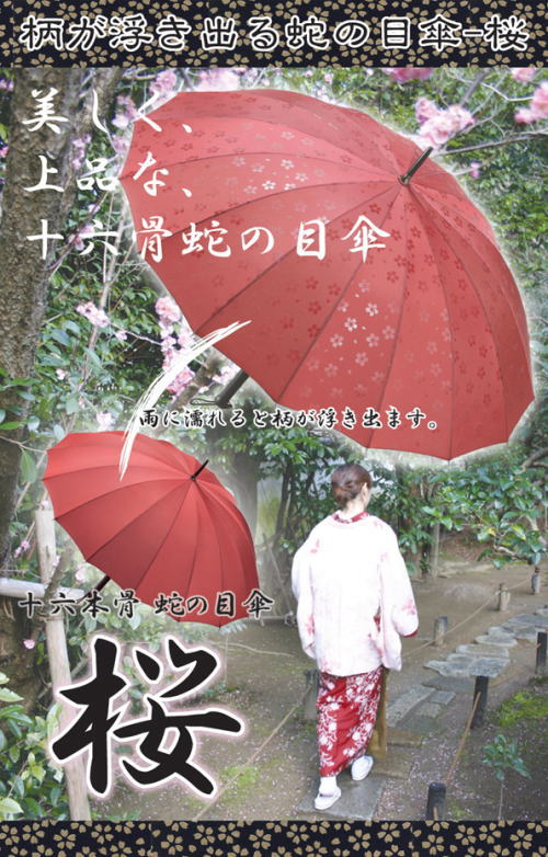 雨に濡れると桜柄が浮き出てくる16本骨傘。柄が浮き出る蛇の目傘「桜」