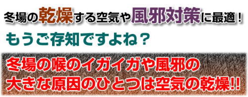 冬場の風邪対策!アロマもできる加湿器