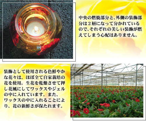 �����R�ĕ����ƊO���̑���������2�w�ɂȂ��Ă��Ă��ꂼ��̔������������R���Ă��܂��S�z�͂���܂���B�����Ƃ��Ďg�p�����F�N�₩�ȉԁX�́A�قڑS�Ă����͔|�̉Ԃ��g�p�A���Ԃ����������Ďg�p���Ă��܂��B�܂����b�N�X�̒��ɓ���邱�Ƃɂ��A�Ԃ̐V�N�����ۂ���܂��B