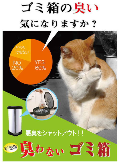 �S�~���̃j�I�C�C�ɂȂ�܂���?