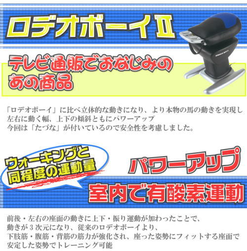 テレビショッピングでおなじみ。ロデオボーイ2.座っているだけで、ウォーキングと同じ運動量。室内で有酸素運動。