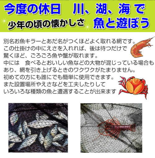 今度の休日、川、湖,、海で魚と遊ぼう!えさや設置場所を変えるだけでいろいろな魚と出会えます。