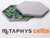 METAPHYS celtis�i�Z���e�B�X�j