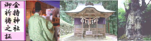 金持神社公認御祈祷済みお宮型宝箱御祈祷済み(御祈祷之証付)