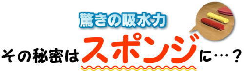 �z���͂̔閧�̓X�|���W�ɂ���I�J���t�����b�v