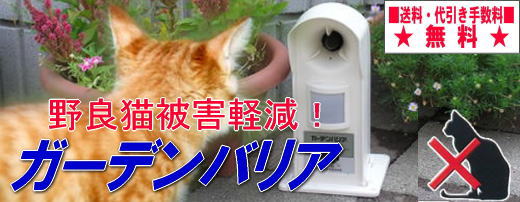 ��ǔL��Q�y���B�K�[�f���o���A